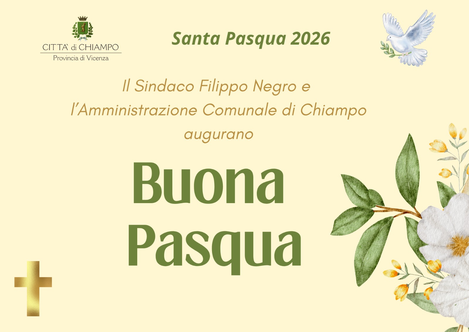 WhatsApp Image 2026-03-30 at 11.34.35